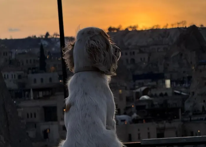 Center Cave * 格雷梅