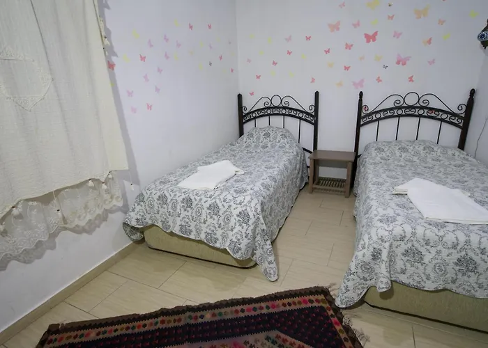 Center Cave 招待所